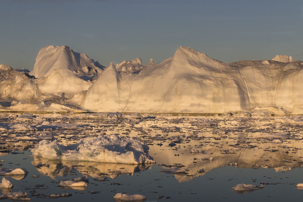 "Arktyczne potwory" na Grenlandii. Polacy chcą im zaradzić