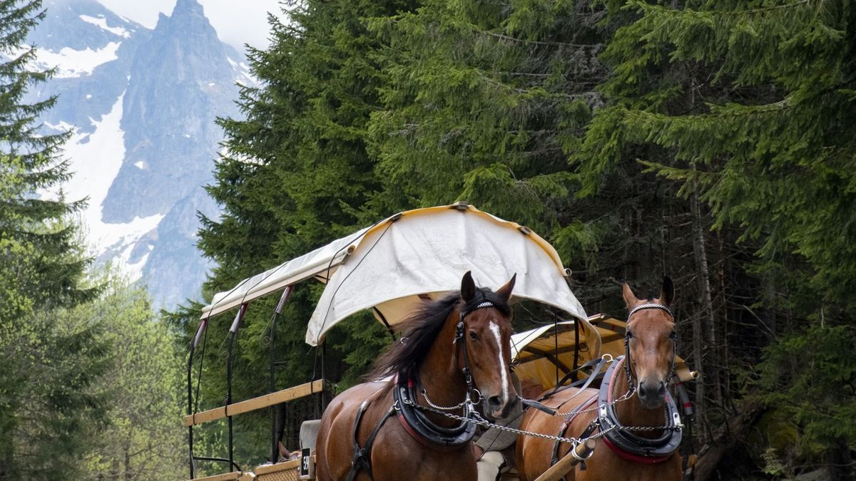 Powozy do Morskiego Oka to wieloletnia tradycja, która budzi coraz więcej kontrowersji