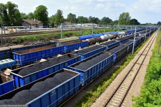 Import węgla to niejedyny problem. "Tego Polsce brakuje"