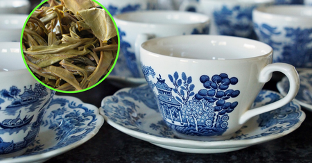 Czerwona herbata Pu'erh. Dlaczego warto pić nawet 2 filiżanki dziennie?