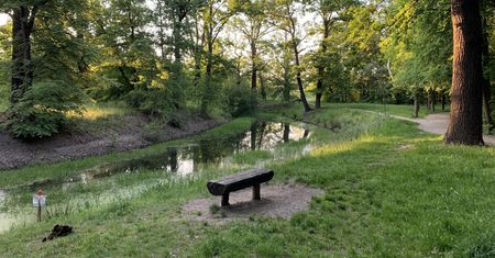 Wrocław. Pogoda. 21 lipca. Ciepło i bez deszczu. I tak przez kilka dni