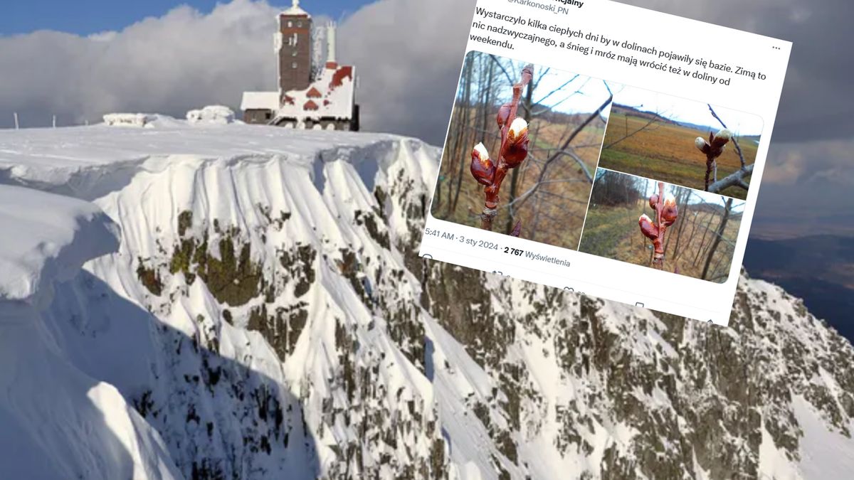 Wyjątkowe zdjęcia z Karkonoszy. To nietypowy widok w styczniu
