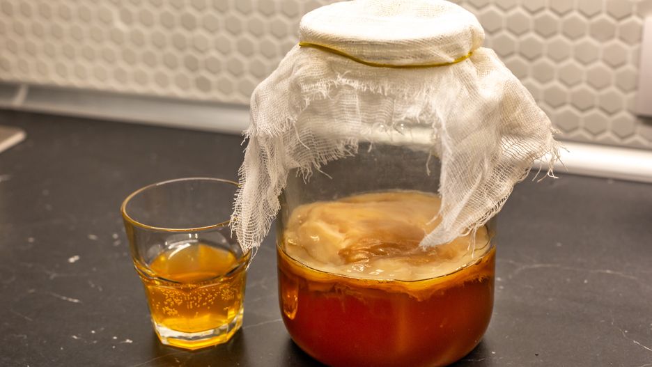 Kombucha 