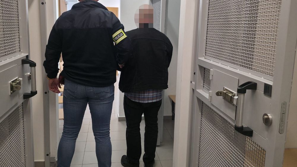 policja