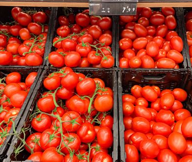 Importowane pomidory rozpychają się na rynku. Oto ceny