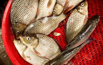 Nietypowe oferta sprzedaży. "Przygotowywane w wigilijny wieczór"