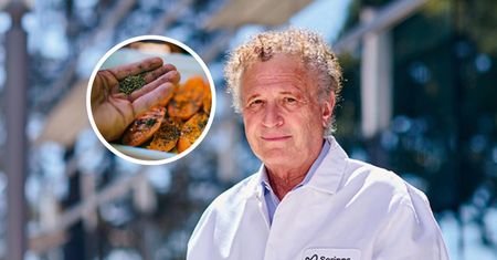 Może chronić przed alzheimerem. "Zwiększyliśmy liczbę synaps w mózgu"
