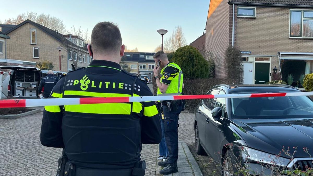 Zabójstwo 11-latki w Holandii