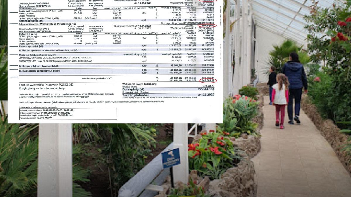 palmiarnia wałbrzych