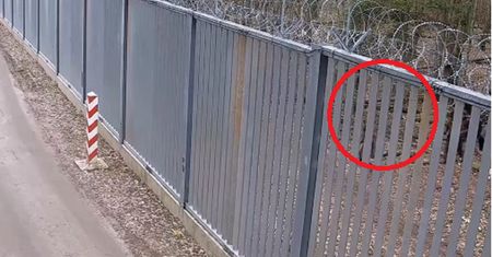 Szturmują polską granice. Białorusin mówi, co będzie dalej