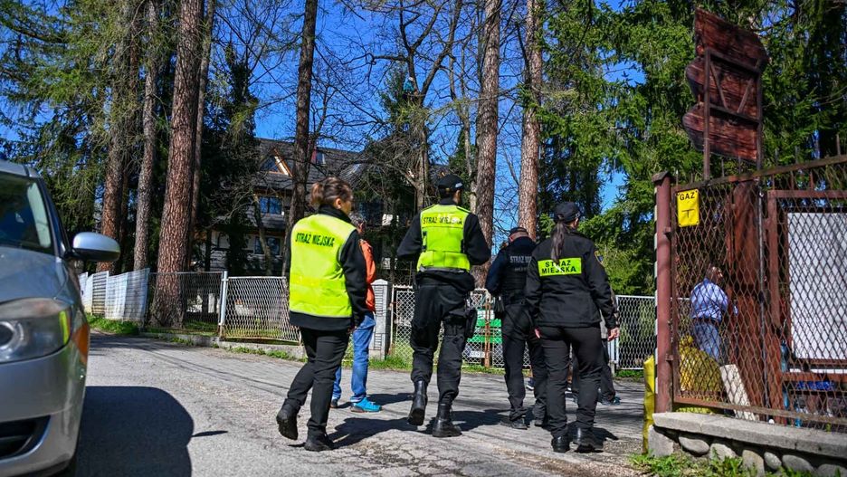 Próba wycięcia drzewa na ul. Brzozowskiego