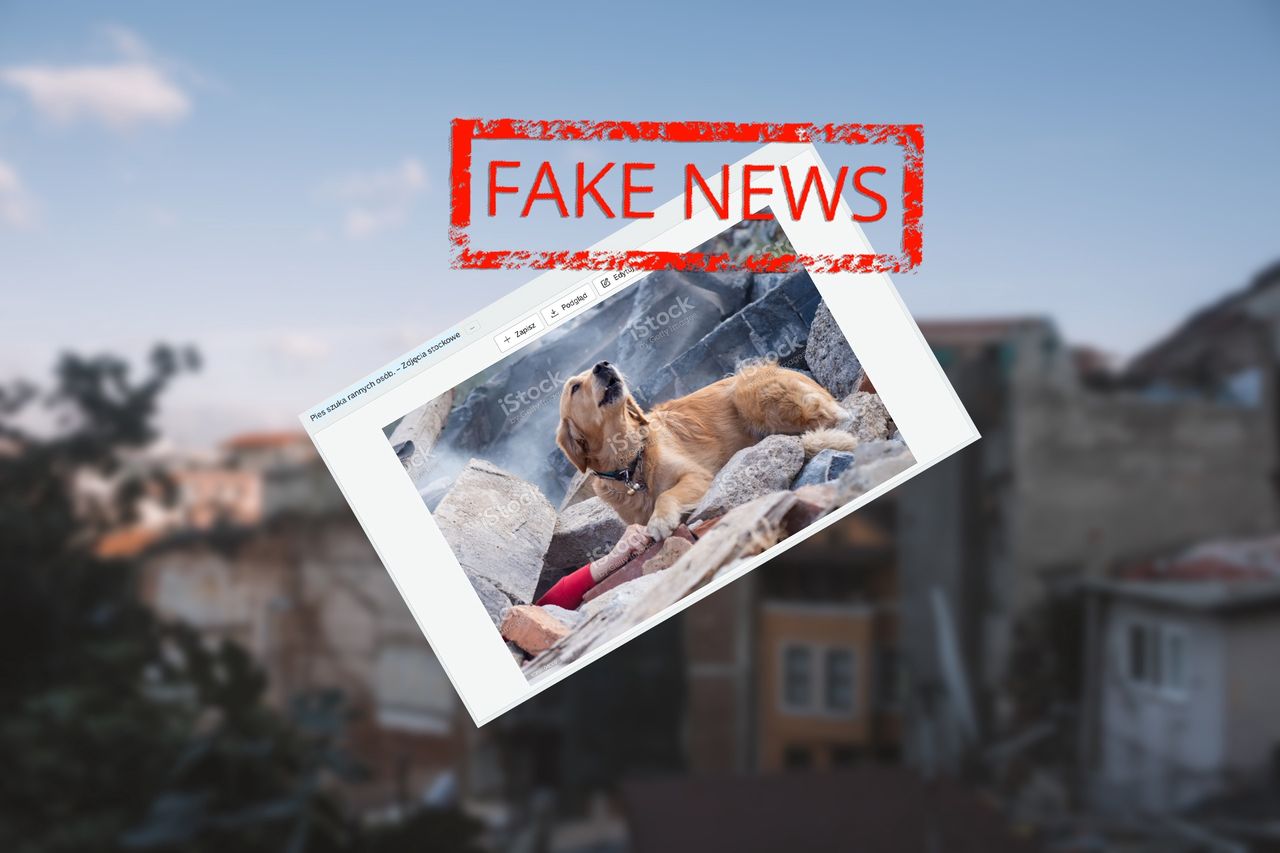 Wiralowe zdjęcie z psem-ratownikiem to fake news.