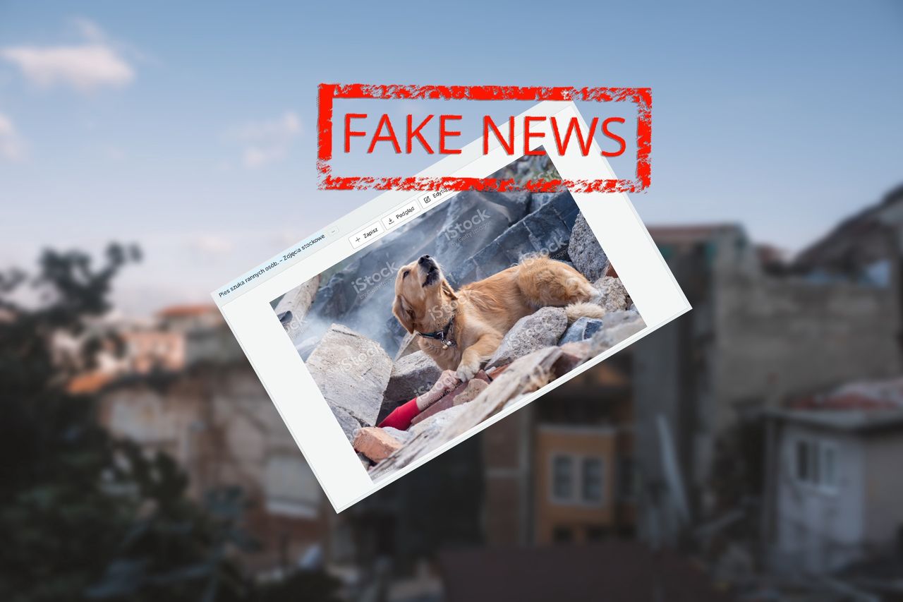 Zdjęcie "z Turcji" obiegło cały świat. Jest fake newsem, a to cała prawda