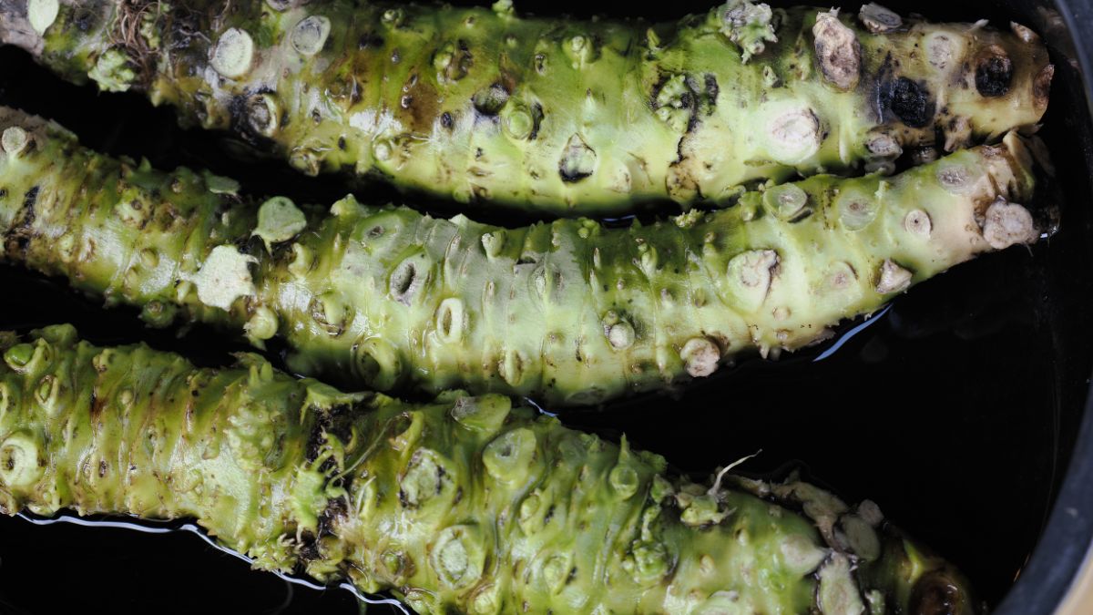 Wasabi jest o wiele ostrzejsze od polskiego chrzanu