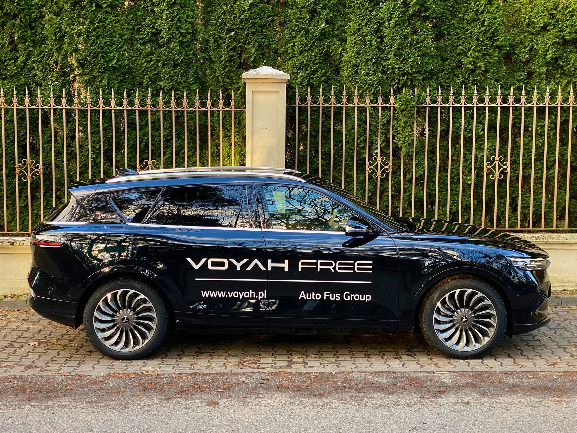 Voyah Free