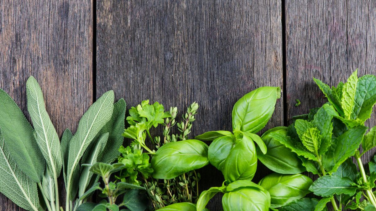 Planujesz opalanie? Uważaj na te zioła!