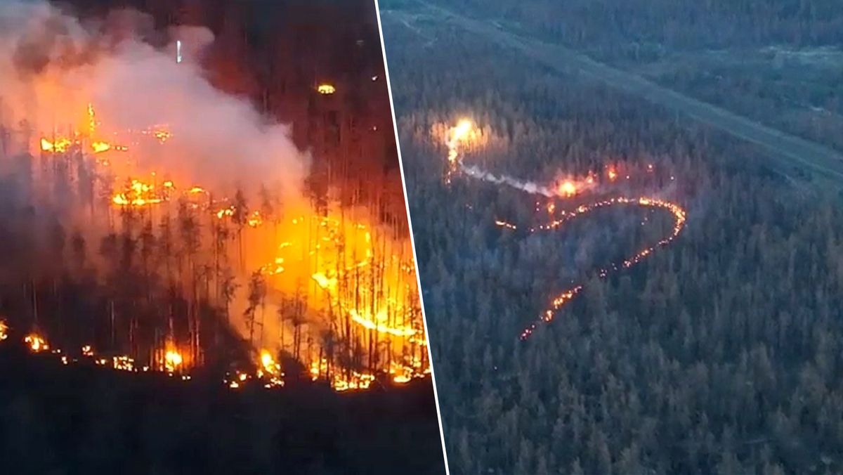 wojna w Ukrainie, wojna na ukrainie, drony, pożar, wojna, ukraina, rosja, lasy, rosjanie, bbc Lasy są teraz pułapką. Ukraińcy zrzucają termit. Wszystko płonie