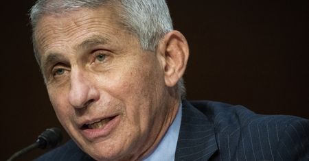 Koronawirus USA. Dr Anthony Fauci prosi stanowe władze o wprowadzanie obostrzeń i obowiązek noszenia maseczek