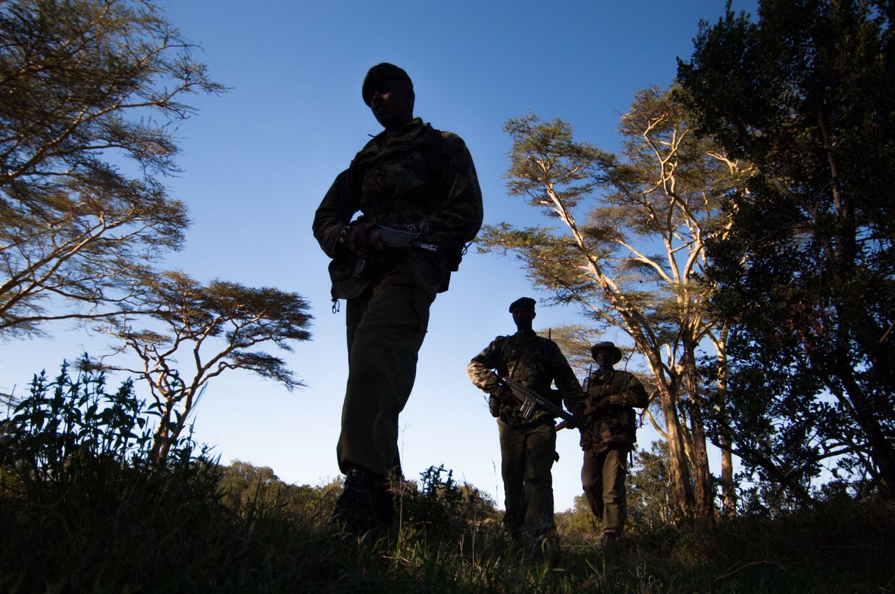 Mercenaries arrive in occupied Oleshky, Kherson region: Reports by Tatar-Ukrainian resistance group