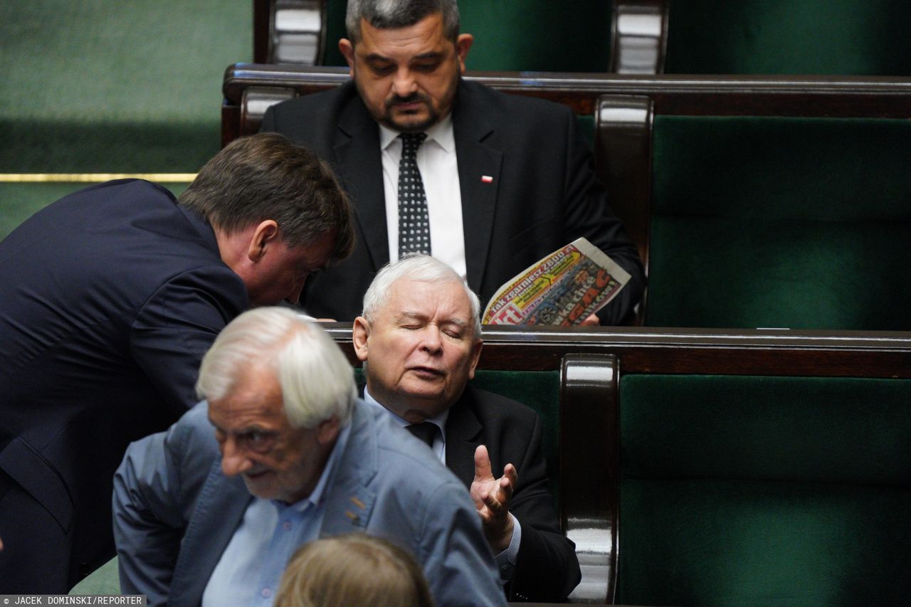 "Piątka dla zwierząt". Koalicjanci PiS przeciwko projektowi Jarosława Kaczyńskiego