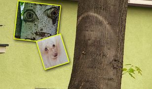 "Cud w Parczewie" to pareidolia. Ludzie dają się ponieść emocjom