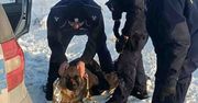 Przysowy: Pies przymarzł do ziemi. Uratowali go policjanci