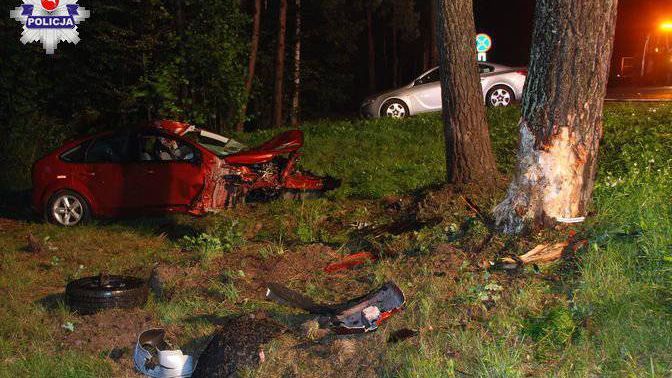 bezwola łoś samochód wypadek