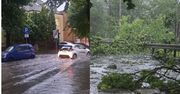 Armagedon po burzach. Drzewo przygniotło nastolatka, pokazy odwołane