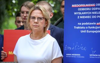 Śnięte ryby płyną do nas z Czech. Polskie resorty interweniują