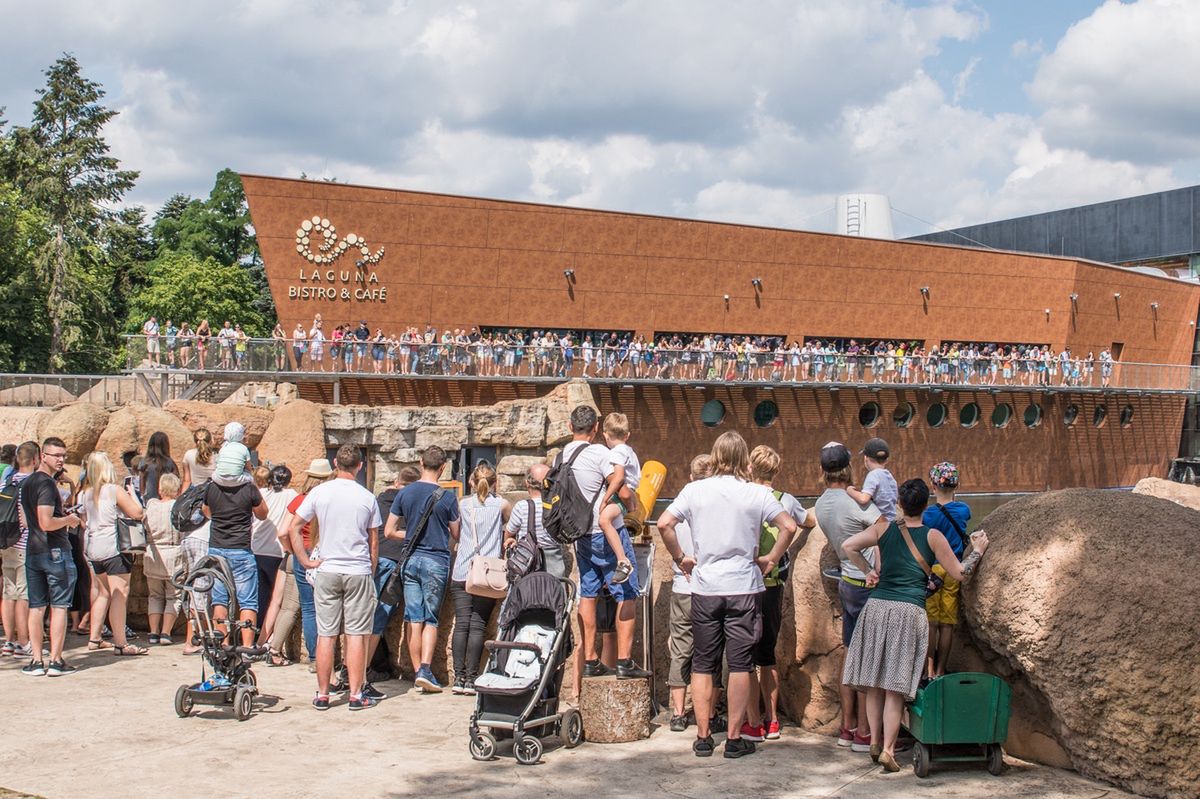 Wrocław. Rekordowe zainteresowanie ogrodem zoologicznym