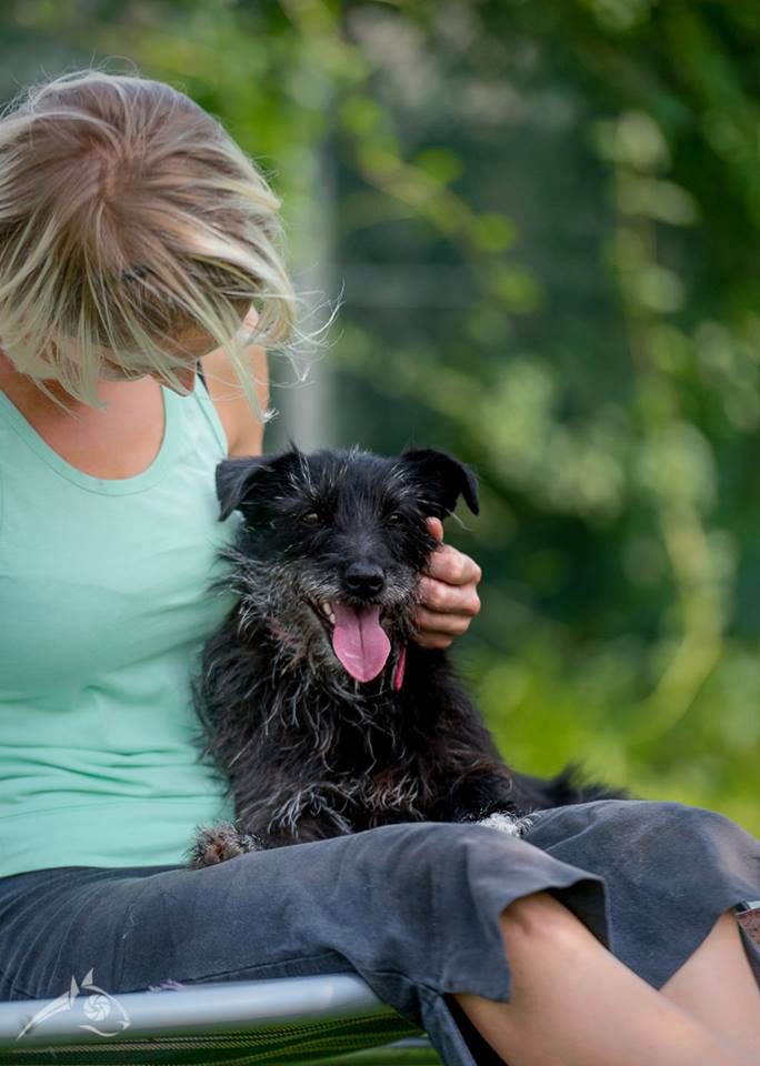 Sesja dla Polany. Profesjonalne zdjęcia twojego zwierzaka za pomoc w ratowaniu psów