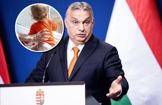 Globalna sensacja czy kapiszon? Kolejny kraj chce finansowo zachęcić do posiadania dzieci [ANALIZA]