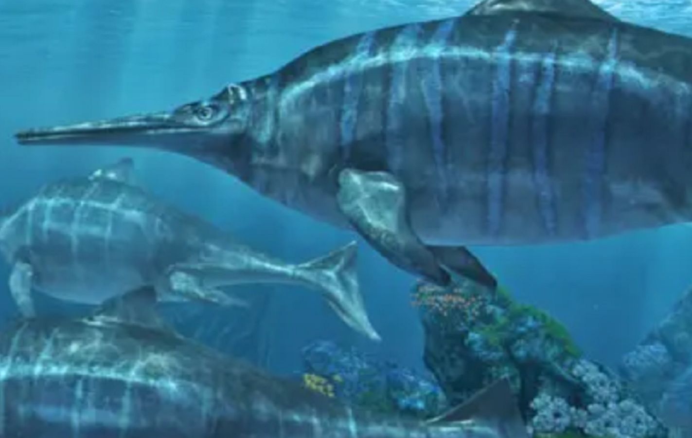 Znaleźli szczątki ichtiozaura. Sęk w tym, że było z nim coś jeszcze