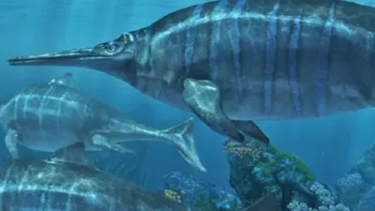 Ichtiozaury osiągały wielkość nawet 20 metrów.