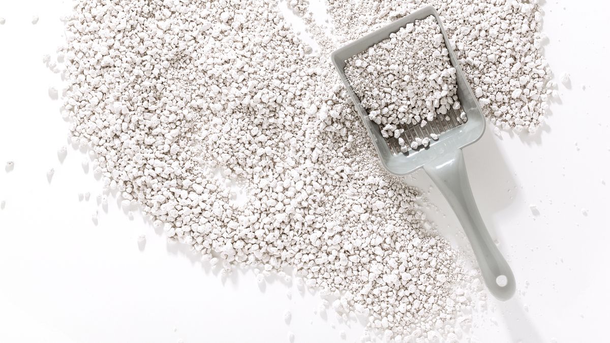 Jak zrobić domowy pochłaniacz wilgoci?