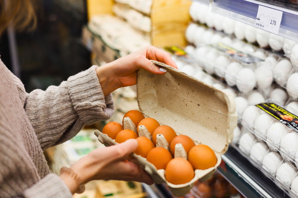 Choosing quality over size: The secrets to buying the best eggs revealed