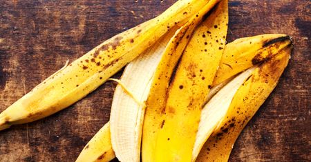 Skórka do banana. Niecodzienne zastosowania
