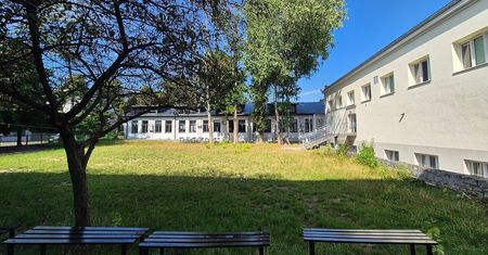 To nie żart – przy podstawówce powstanie hotel dla owadów i „małpi gaj”