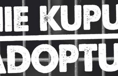 „Nie kupuj - adoptuj”- blogerki modowe w kampanii na rzecz psów ze schronisk