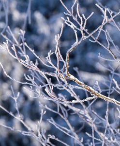 Pogoda w sylwestra? Znamy prognozę