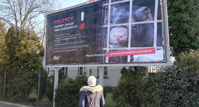 Fundacja Viva postawiła 600 antyfutrzarskich billboardów w całej Polsce
