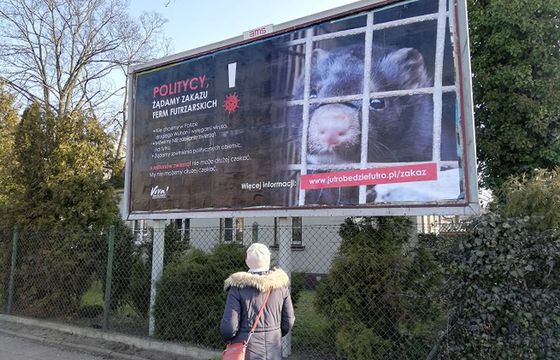 Fundacja Viva postawiła 600 antyfutrzarskich billboardów w całej Polsce