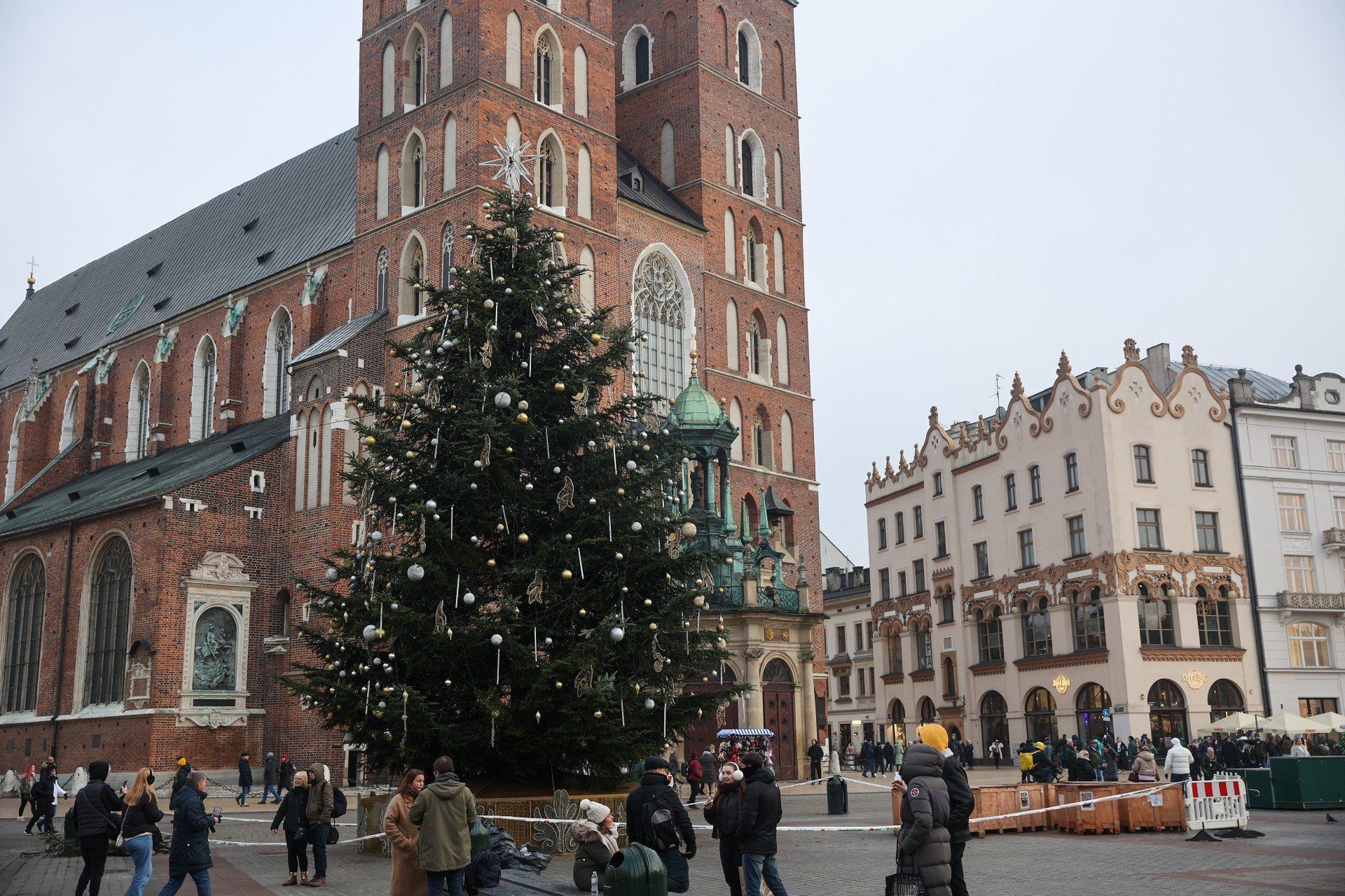W Krakowie na Rynku Głównym pojawiła się już choinka