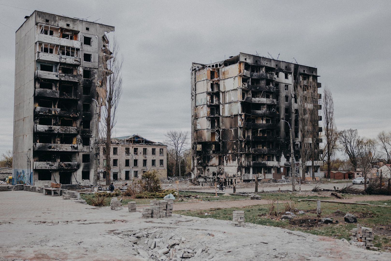 Ukraina, badanie DNA