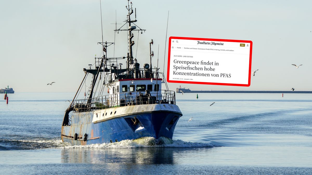 Alarmujące doniesienia ws. ryb z Bałtyku.