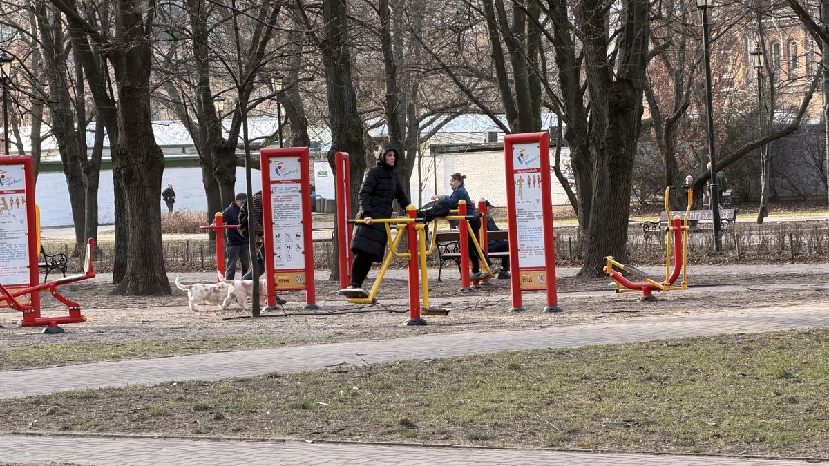 Aktywność po 50