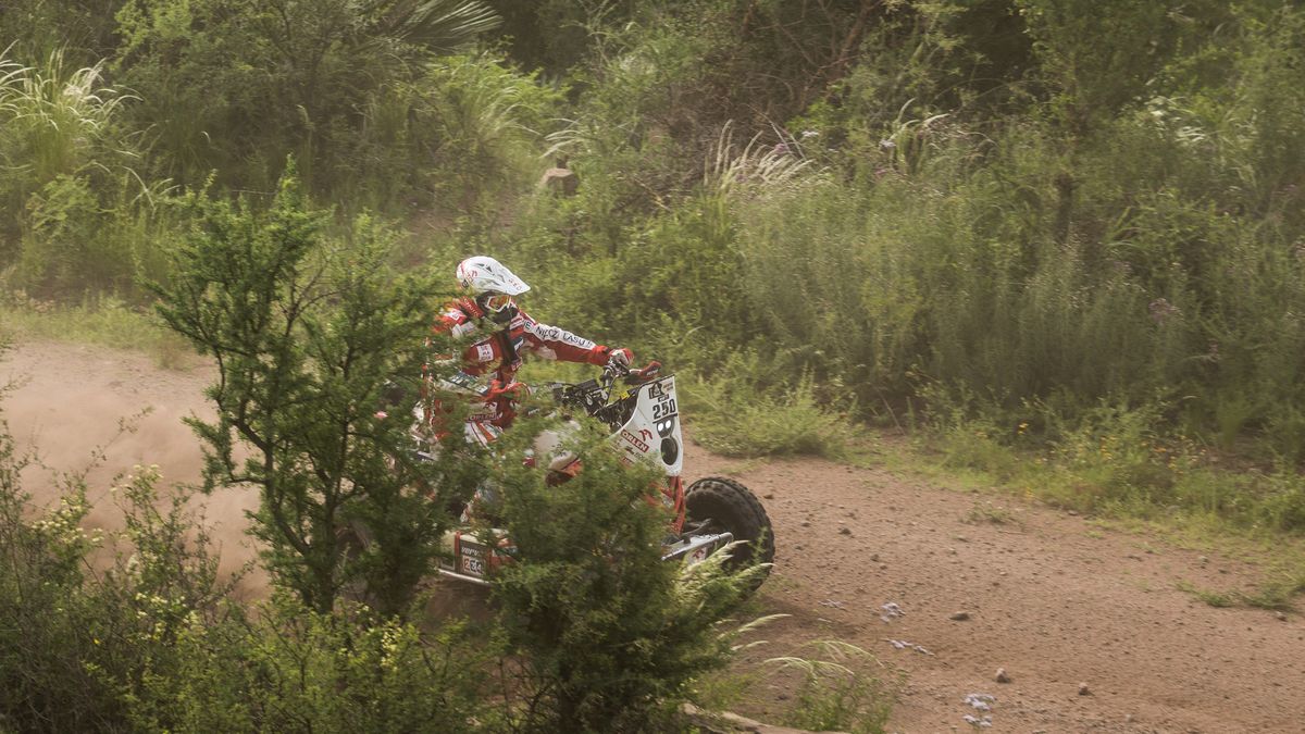 Materiały prasowe / Mateusz Szelc