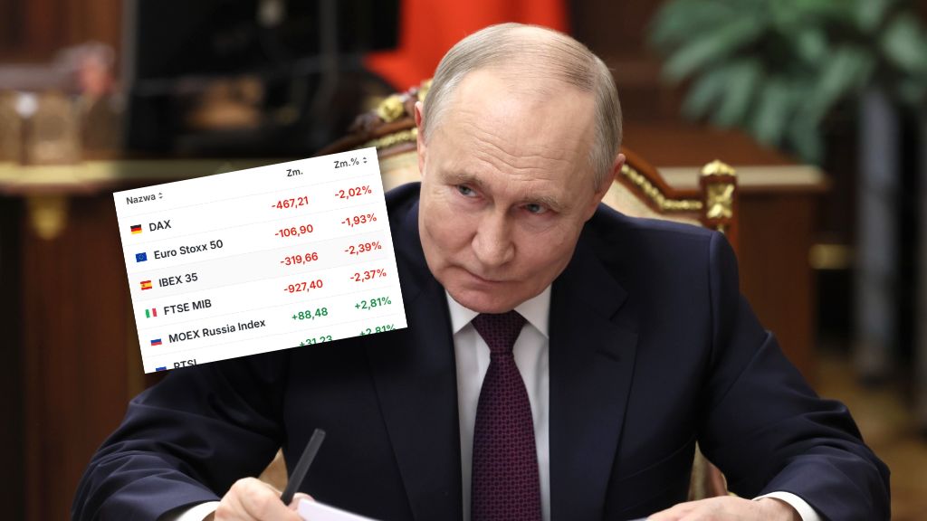 Rosyjska gieła rośnie