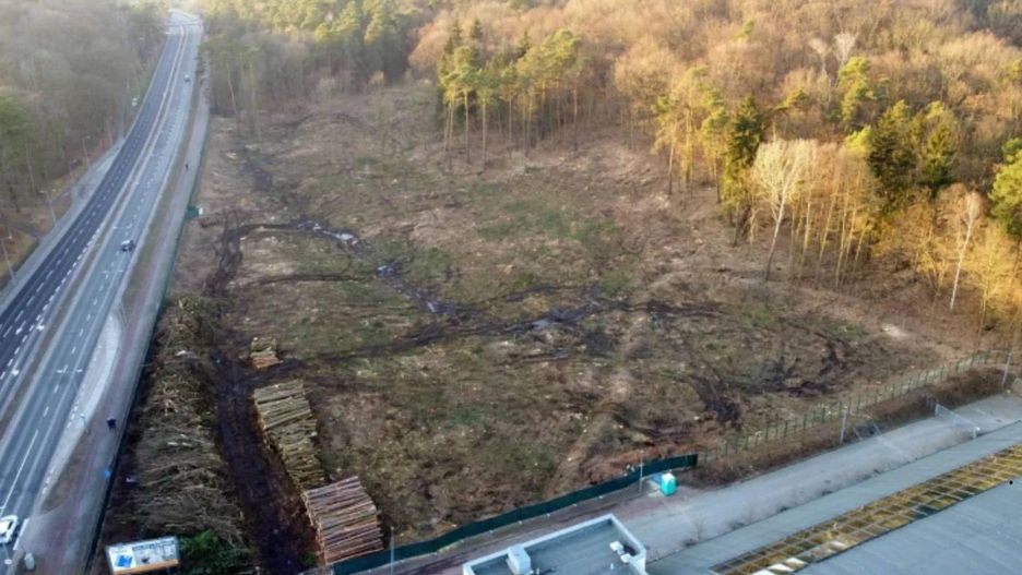Stowarzyszenie Zielone Miasto Gorzów kończy działalność