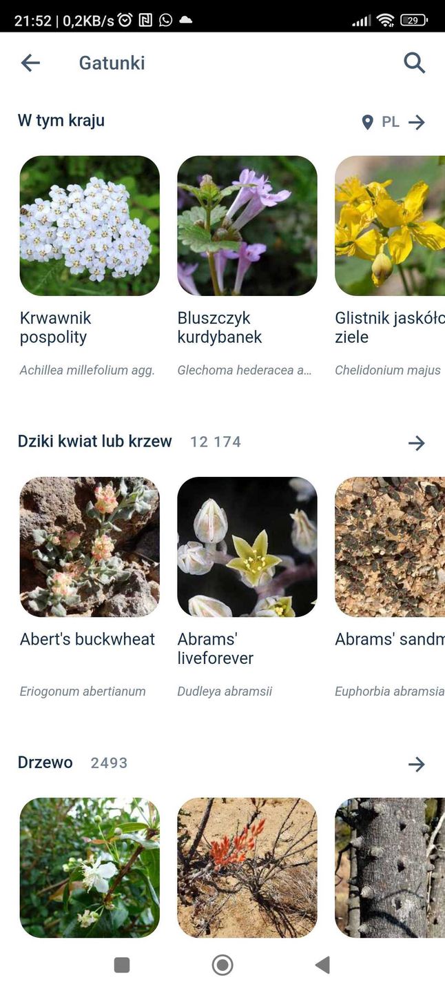 Darmowy Program Do Rozpoznawania Roślin Flora Incognita - darmowa aplikacja do rozpoznawania roślin